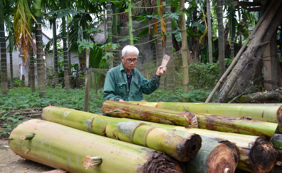 Với 50 con gà cùng 10 con lợn ông Dũng dự tính phải kết 2 chiếc bè, mỗi bè từ 12-18 thân chuối.