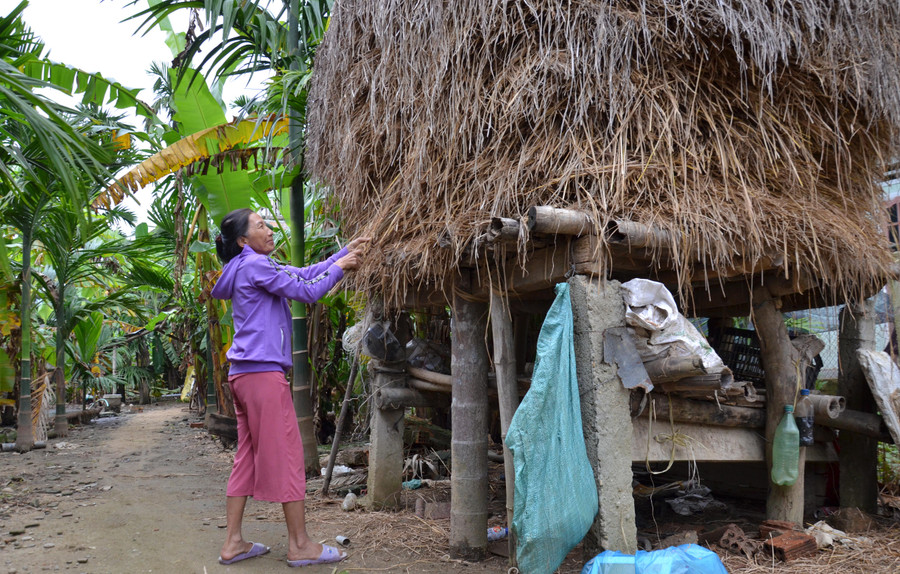 Vì là vùng rốn lũ nên những đống rơm rạ dự trữ ở vùng này đều được người dân kê cao hơn mặt đất từ 1 mét trở lên.