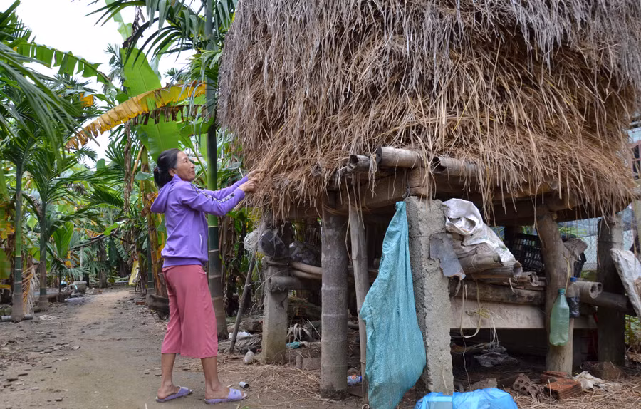 Vì là vùng rốn lũ nên những đống rơm rạ dự trữ ở vùng này đều được người dân kê cao hơn mặt đất từ 1 mét trở lên.