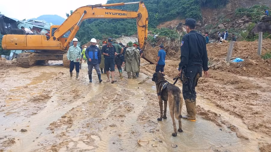 Chiều 12/10, Công an tỉnh Quảng Ngãi cũng đã điều động 1 đội cảnh khuyển (chó nghiệp vụ) đến hiện trường tìm kiếm nạn nhân mất tích.