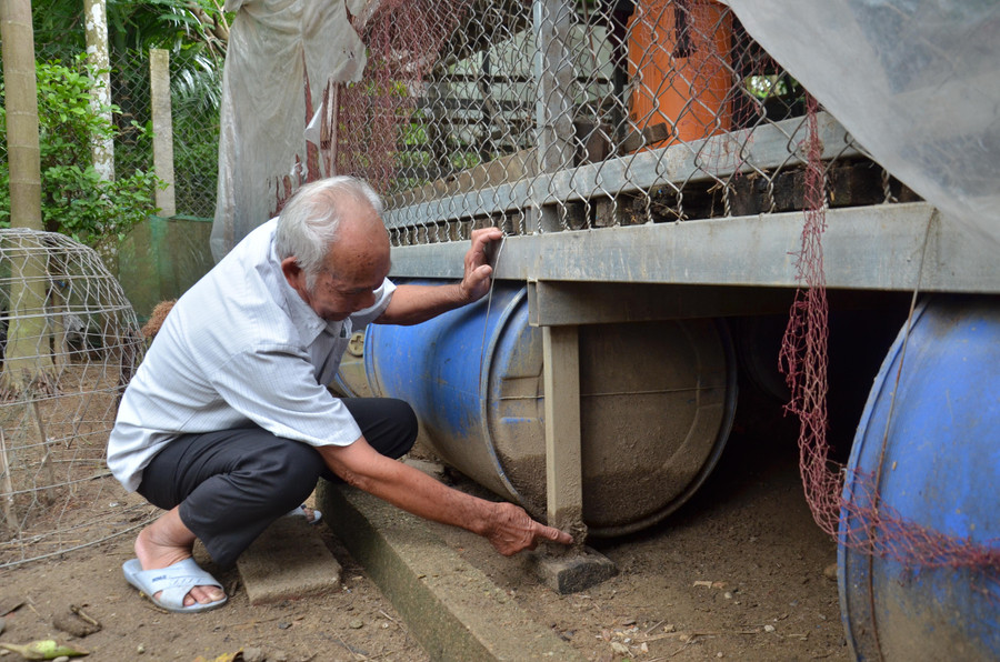 Theo ông Năm, &quot;chiếc chuồng di động&quot; này được ông thiết kế dựa theo mô hình bè nổi của ngư dân miền biển, những chiếc thùng nhựa đóng vai trò như chiếc phao giúp chuồng nổi lên khi nước lũ dâng cao.