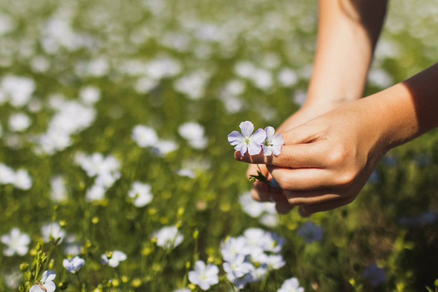 Có một thực tế là việc chữa lành trái tim tan vỡ đòi hỏi phải xử lý cảm xúc. Có một thực tế là việc chữa lành trái tim tan vỡ đòi hỏi phải xử lý cảm xúc.