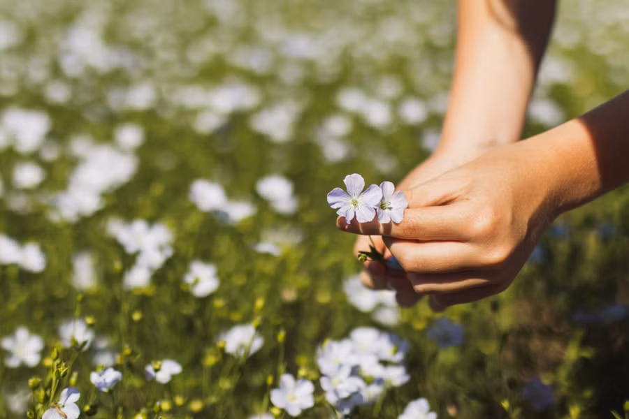 Có một thực tế là việc chữa lành trái tim tan vỡ đòi hỏi phải xử lý cảm xúc.