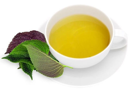 Cách trị mụn, làm trắng da bằng lá tía tô cực đơn giản tại nhà ảnh 1 Cách trị mụn, làm trắng da bằng lá tía tô cực đơn giản tại nhà ảnh 1