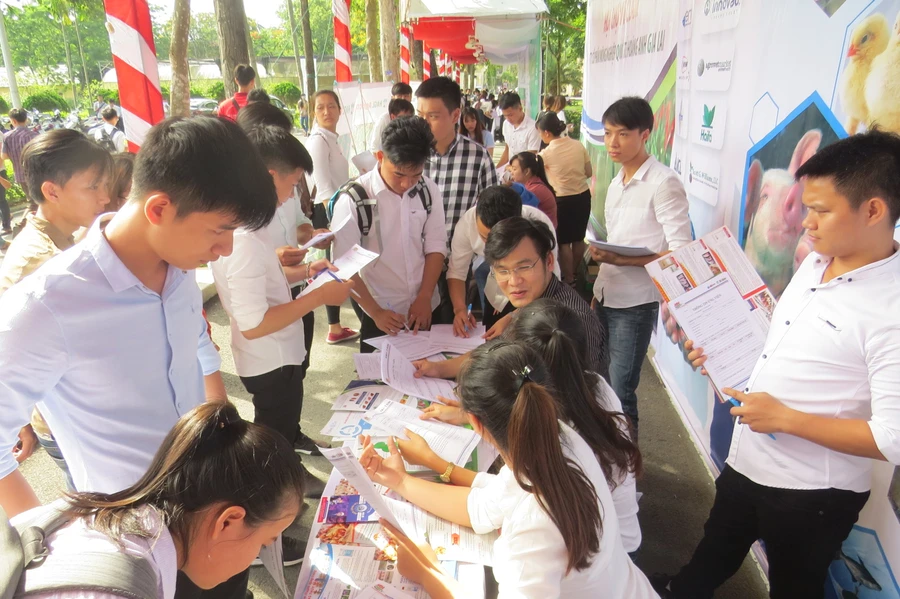 Sinh viên ĐHNL Huế phỏng vấn xin việc làm trực tiếp tại các đơn vị tuyển dụng