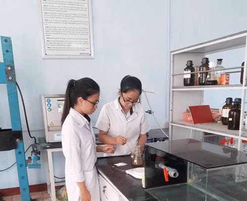 tui ni long tu phan huy, gay nhat rac - sang che huu ich cua cac em nho hinh anh 1