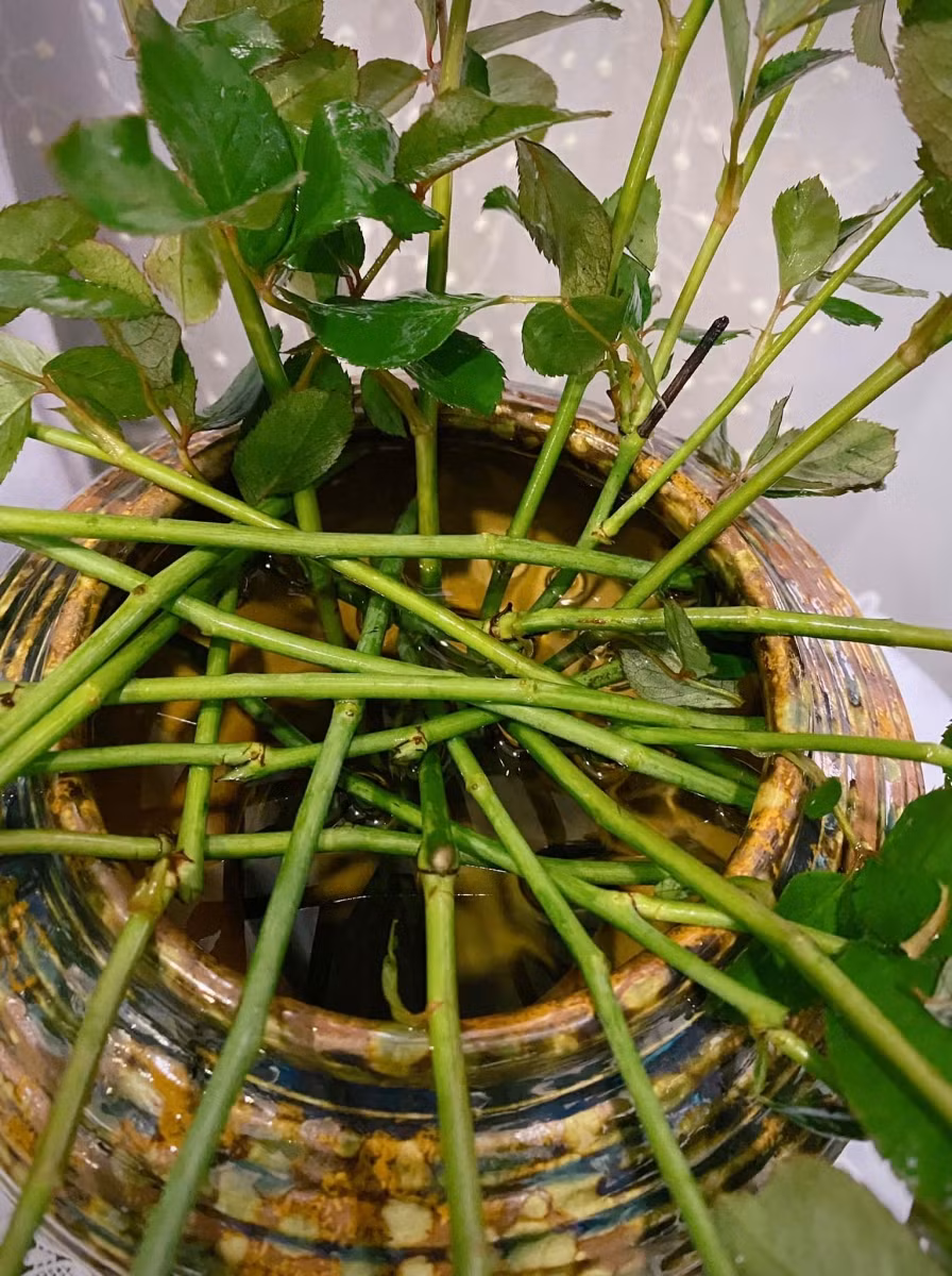 Tạo thành hình nan hoa xe đạp như thế này để những cành ở giữa sẽ cắm thẳng vào những ô trống giúp hoa đứng không bị đổ.