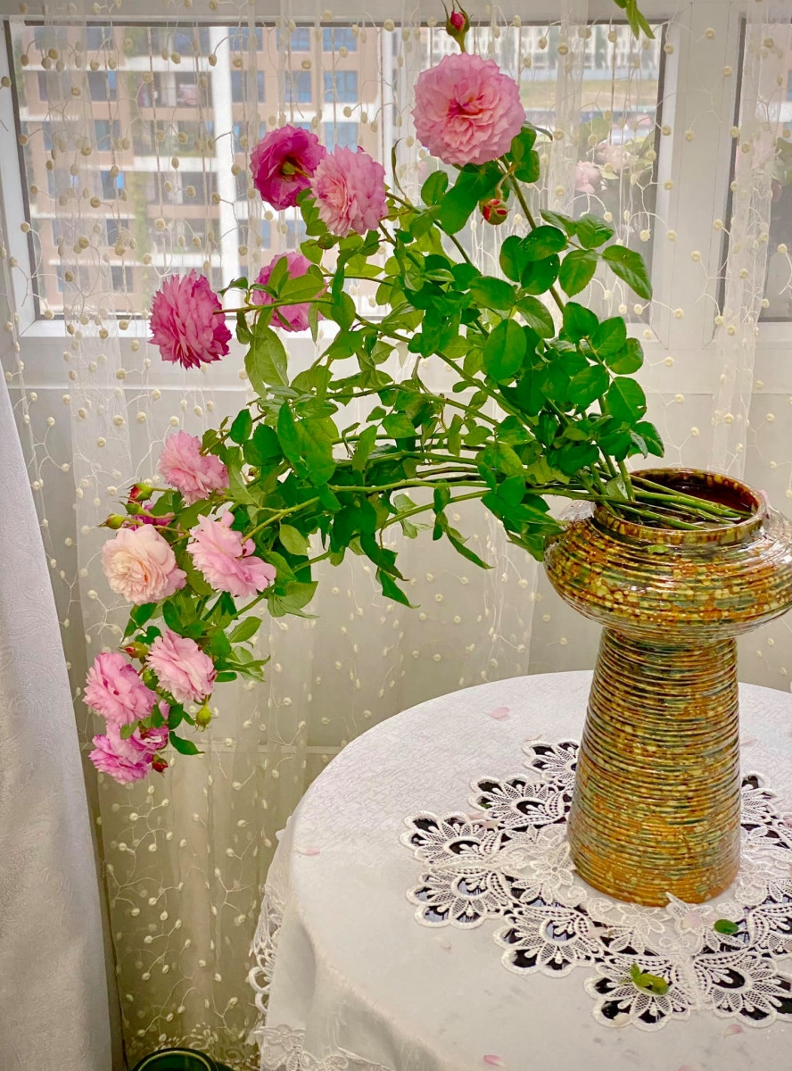 Cắm dần lên phía trên.