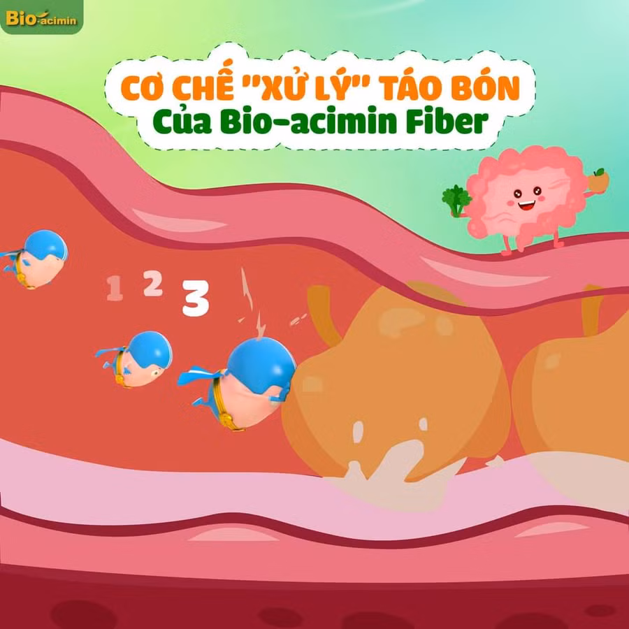 Bio-acimin Fiber “xử lý” táo bón theo cơ chế khoa học, an toàn.