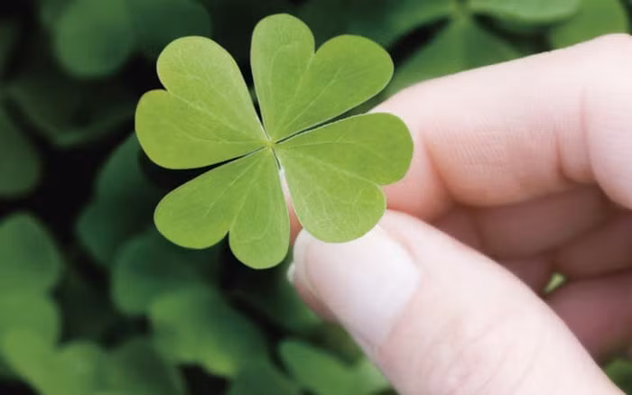 6 con giáp được quý nhân nâng đỡ, vận may dồn dập trong tuần mới