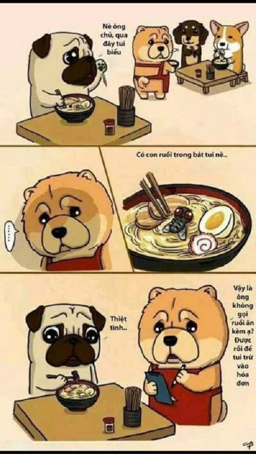 Món ăn thêm miễn phí. 10-anh-hai-hot-nhat-facebook-trong-ngay-4