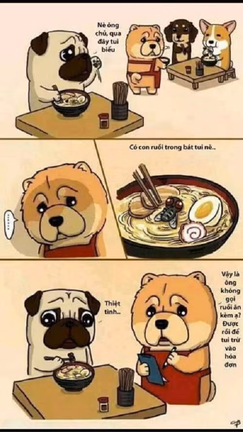 10-anh-hai-hot-nhat-facebook-trong-ngay-4