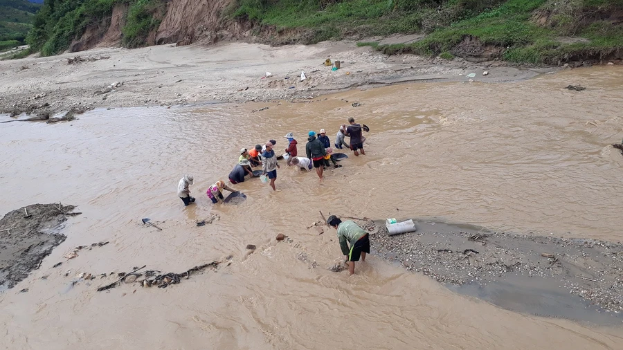 Hàng chục người dân bất chấp nguy hiểm xuống sông đãi vàng.