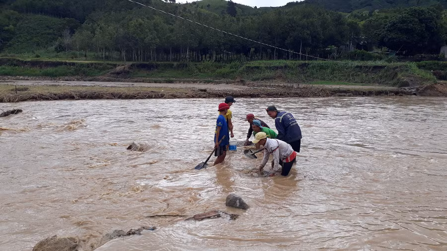 Nhiều em nhỏ tranh thủ thời gian không lên lớp theo bố mẹ đi đãi vàng.