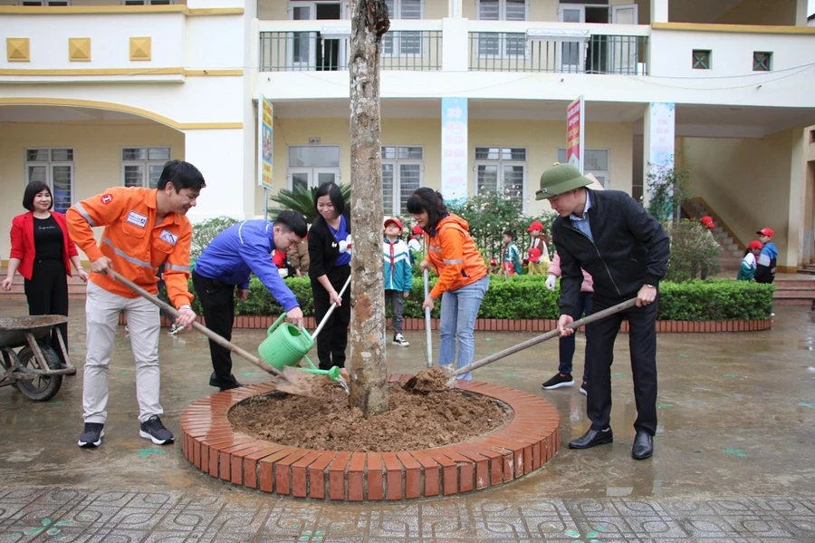 Công ty Núi pháo ươm những mầm xanh.