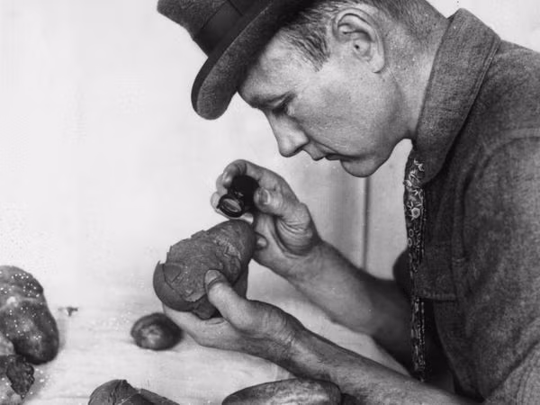 Đừng nghĩ chỉ có chuyện đen đủi, 13 điều tuyệt vời này đã xảy ra vào thứ 6 ngày 13 ảnh 6