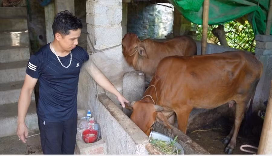 Tích cực triển khai dự án chương trình MTQG về giảm nghèo.