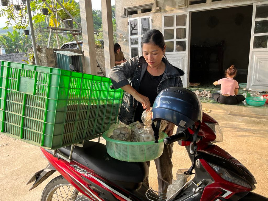 Chị Nguyễn Thị Sinh, xóm Quyết Tâm, xã Trung Lương, huyện Định Hóa đang nhanh tay lấy nấm vận chuyển bán cho các tiểu thương. Chị Nguyễn Thị Sinh, xóm Quyết Tâm, xã Trung Lương, huyện Định Hóa đang nhanh tay lấy nấm vận chuyển bán cho các tiểu thương.
