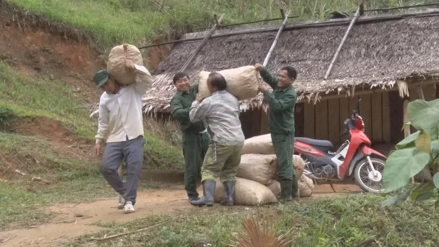 mang cu la "dui" tren dat nui, 1 nam sau quay len dao ban ra tien hinh anh 3