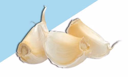 meo-hay-nau-an-bang-lo-vi-song-it-nguoi-biet