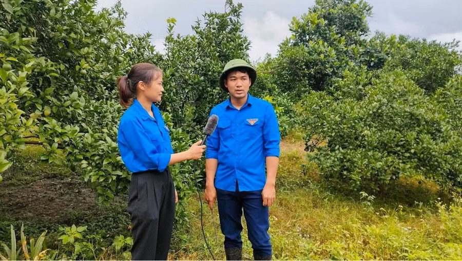 Phát triển kinh tế trên vùng đất khó.