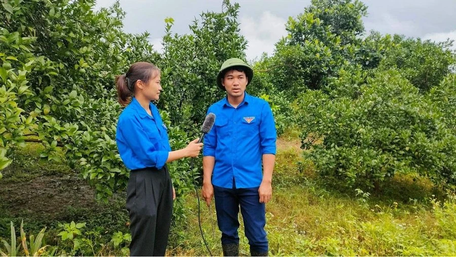 Phát triển kinh tế trên vùng đất khó.