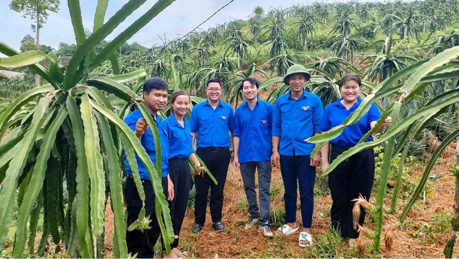 Anh Phạm Quang Trung (đứng thứ hai từ phải sang) luôn tiên phong trong quá trình lập thân, lập nghiệp.