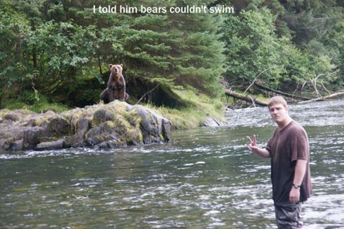 Yên tâm đi, gấu không biết bơi đâu!