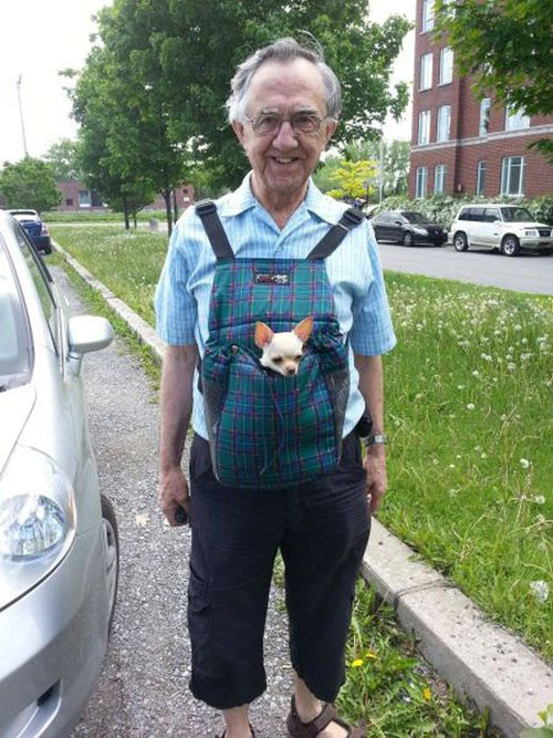 Mốt mới, đeo chó đi dạo.