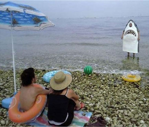 Cá mập lên bờ.
