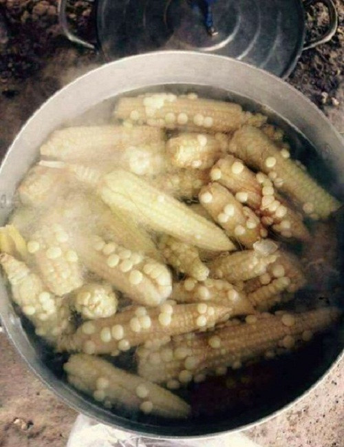 Nồi bắp có 1-0-2.