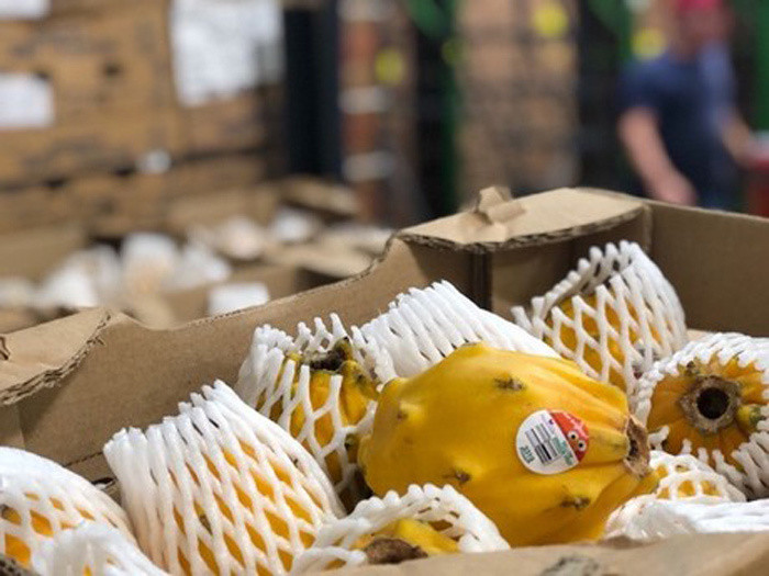 1 triệu đồng/kg thanh long vàng bày mâm ngũ quả Tết ảnh 2 Giá chát: 1 triệu đồng/kg thanh long vàng trưng Tết