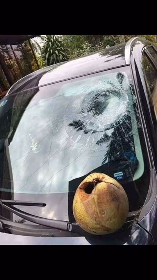 Chiếc kính ô tô vỡ tan sau khi 
