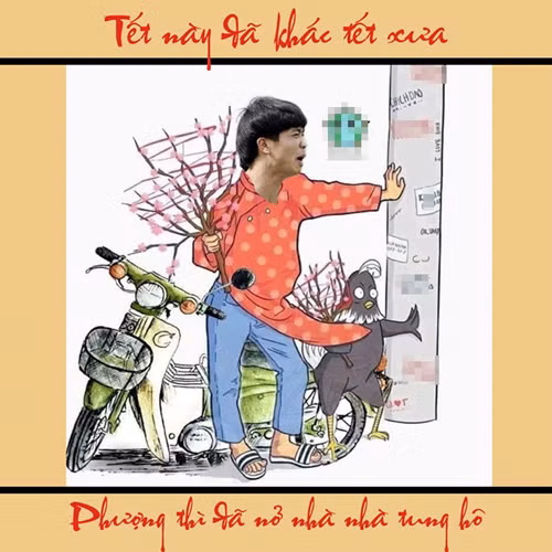 Phượng năm nay đã nở rực rỡ hơn xưa rất nhiều.