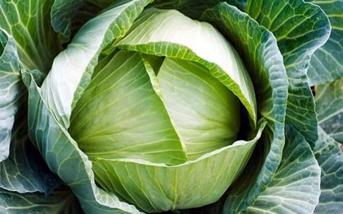 4-loai-rau-chong-ung-thu-01