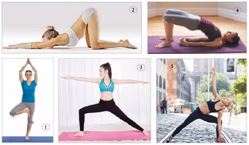 Với những động tác đơn giản có thể giúp bạn kiện toàn sức khỏe tuổi trung niên.