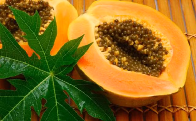 bai thuoc dan gian tri thoat vi dia dem 5