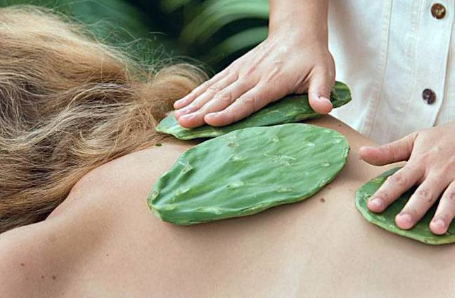 5 bài thuốc dân gian chữa thoát vị đĩa đệm hiệu quả, người bệnh không cần phẫu thuật - Ảnh 3 bai thuoc dan gian tri thoat vi dia dem 3