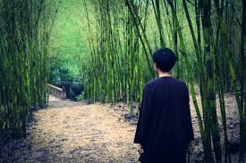 Gần rừng tía