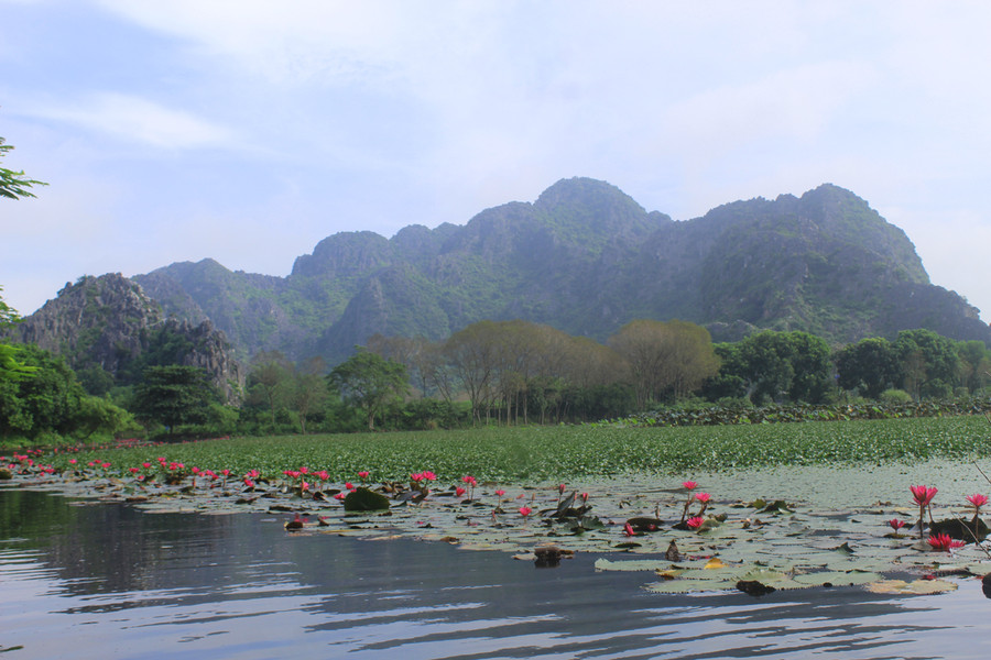 Cảnh sắc sơn thủy hữu tình tại chùa Linh Ứng. Ảnh: LT.