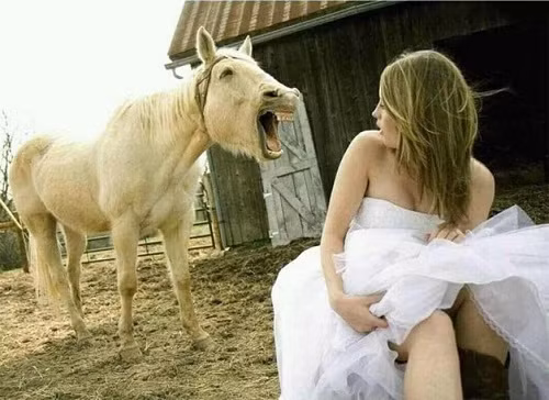 Nụ cười sáng cả góc trời.