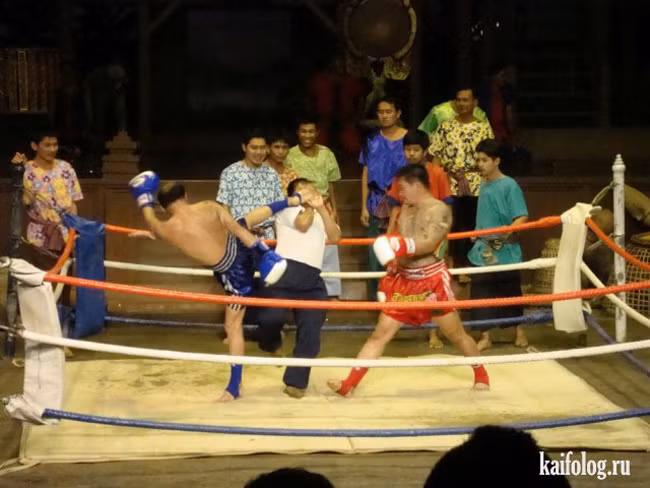 nhung hinh anh cu xem xong la... cuoi hinh anh 14