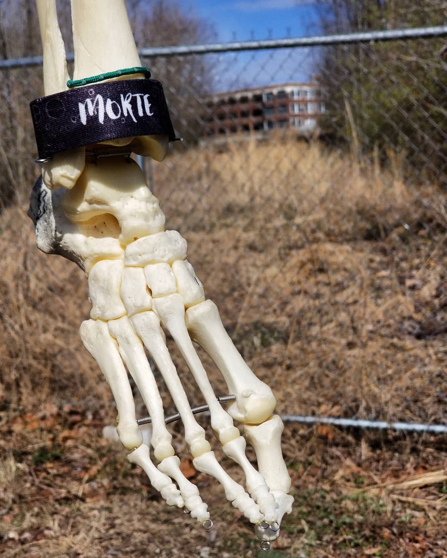 nguoi phu nu dem bo xuong ban chan minh di khap nuoc my hinh anh 2