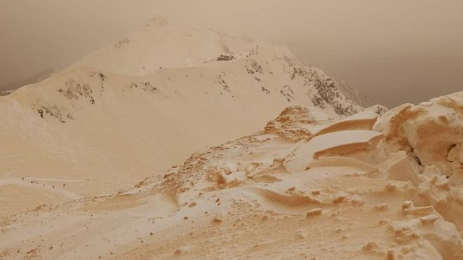 tuyết cam,châu Âu,Nga