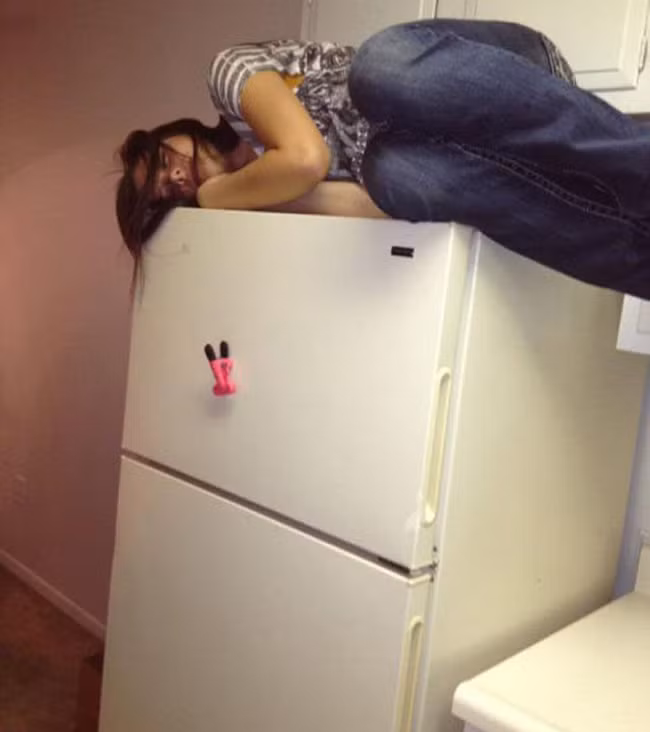 nhung hinh anh cu xem xong la... cuoi hinh anh 10