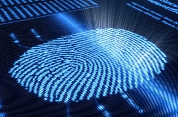 Các phương pháp cơ bản xác định dấu vết tội phạm giết người