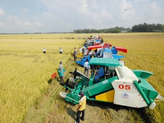 Lộ trình thí điểm liên kết phát triển kinh tế - xã hội vùng ĐBSCL