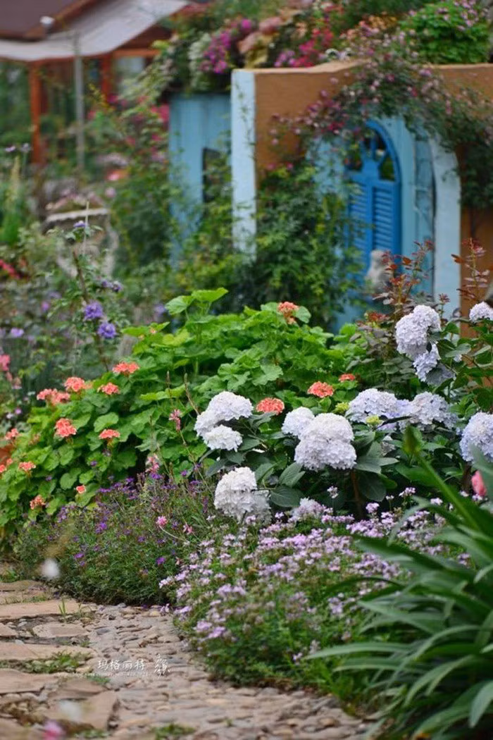 Mãn nhãn khu vườn đẹp như mê cung của người đàn ông yêu thích làm vườn ảnh 24