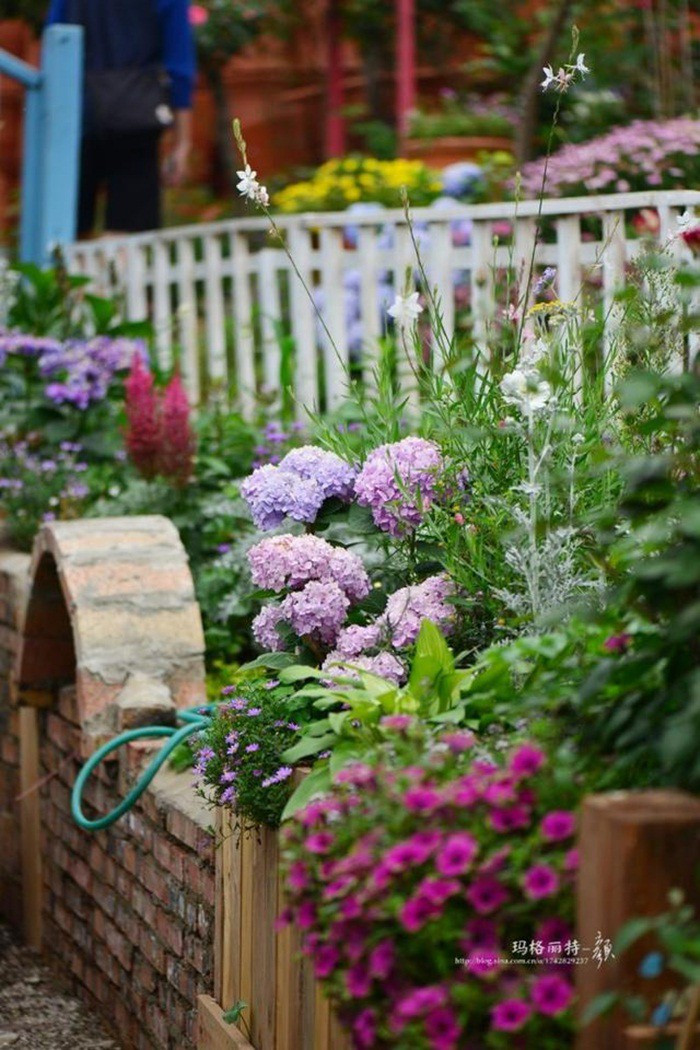 Mãn nhãn khu vườn đẹp như mê cung của người đàn ông yêu thích làm vườn ảnh 9