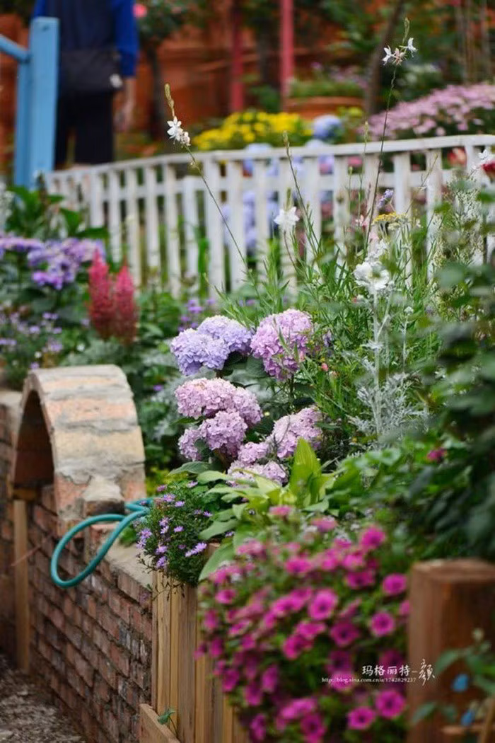 Mãn nhãn khu vườn đẹp như mê cung của người đàn ông yêu thích làm vườn ảnh 9